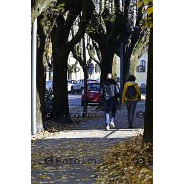 Tiziano Manzoni/LaPresse 6-11-2025 Bergamo, Italia Cronaca TreviglioTreviglio Via piazze paese gente generiche 2025 PIazza Setti Manara, via teatro basilica filodrammatici gente mamme stranieri questura commissariato monte dei paschi bar chiesa parrocchiale ztl parcheggi autunno alberi bicilette panchine rifiuti carcano vicolo