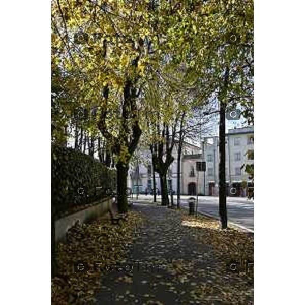 Tiziano Manzoni/LaPresse 6-11-2025 Bergamo, Italia Cronaca TreviglioTreviglio Via piazze paese gente generiche 2025 PIazza Setti Manara, via teatro basilica filodrammatici gente mamme stranieri questura commissariato monte dei paschi bar chiesa parrocchiale ztl parcheggi autunno alberi bicilette panchine rifiuti carcano vicolo