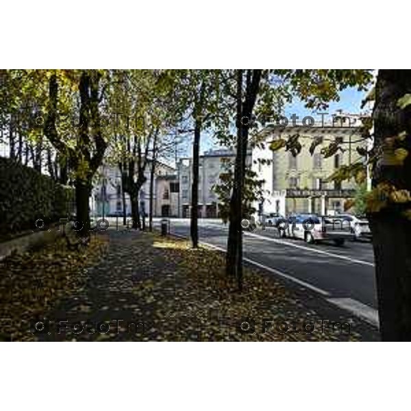 Tiziano Manzoni/LaPresse 6-11-2025 Bergamo, Italia Cronaca TreviglioTreviglio Via piazze paese gente generiche 2025 PIazza Setti Manara, via teatro basilica filodrammatici gente mamme stranieri questura commissariato monte dei paschi bar chiesa parrocchiale ztl parcheggi autunno alberi bicilette panchine rifiuti carcano vicolo