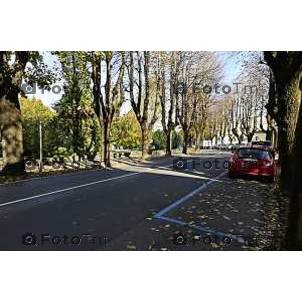 Tiziano Manzoni/LaPresse 6-11-2025 Bergamo, Italia Cronaca TreviglioTreviglio Via piazze paese gente generiche 2025 PIazza Setti Manara, via teatro basilica filodrammatici gente mamme stranieri questura commissariato monte dei paschi bar chiesa parrocchiale ztl parcheggi autunno alberi bicilette panchine rifiuti carcano vicolo