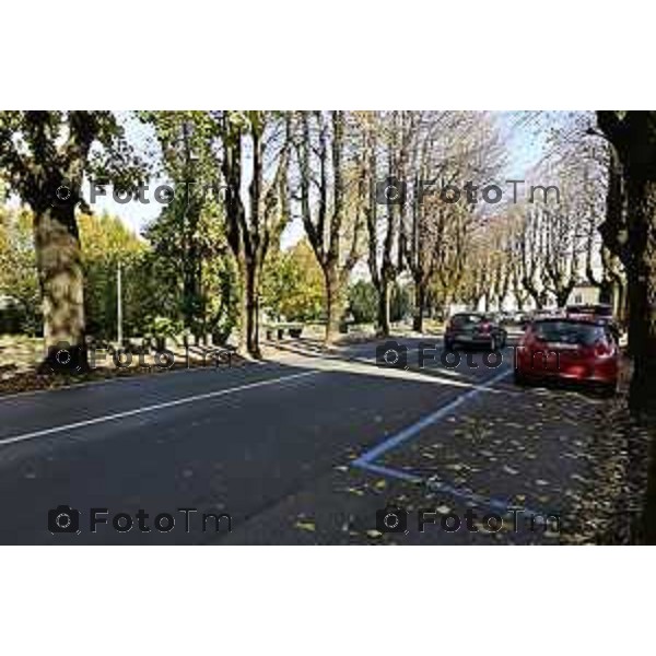 Tiziano Manzoni/LaPresse 6-11-2025 Bergamo, Italia Cronaca TreviglioTreviglio Via piazze paese gente generiche 2025 PIazza Setti Manara, via teatro basilica filodrammatici gente mamme stranieri questura commissariato monte dei paschi bar chiesa parrocchiale ztl parcheggi autunno alberi bicilette panchine rifiuti carcano vicolo