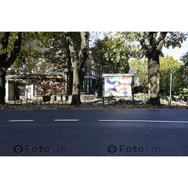 Tiziano Manzoni/LaPresse 6-11-2025 Bergamo, Italia Cronaca TreviglioTreviglio Via piazze paese gente generiche 2025 PIazza Setti Manara, via teatro basilica filodrammatici gente mamme stranieri questura commissariato monte dei paschi bar chiesa parrocchiale ztl parcheggi autunno alberi bicilette panchine rifiuti carcano vicolo