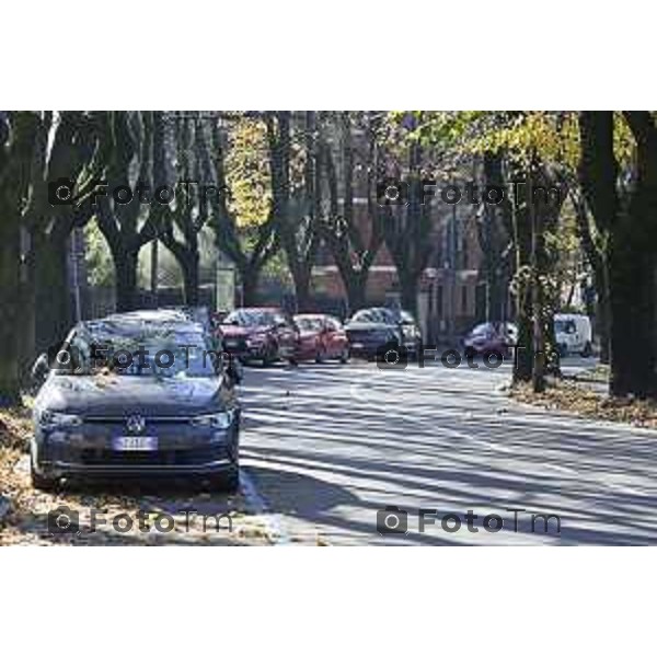 Tiziano Manzoni/LaPresse 6-11-2025 Bergamo, Italia Cronaca TreviglioTreviglio Via piazze paese gente generiche 2025 PIazza Setti Manara, via teatro basilica filodrammatici gente mamme stranieri questura commissariato monte dei paschi bar chiesa parrocchiale ztl parcheggi autunno alberi bicilette panchine rifiuti carcano vicolo