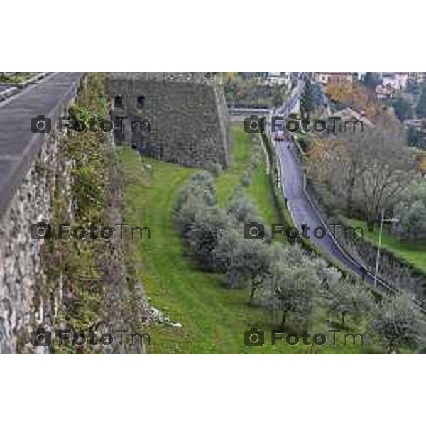 Tiziano Manzoni/LaPresse 20-11- 2025 Italia Cronaca Bergamo Bergamo Alta viale delle Mura cedimento e crollo di sassi e massi delle mura venete