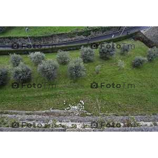 Tiziano Manzoni/LaPresse 20-11- 2025 Italia Cronaca Bergamo Bergamo Alta viale delle Mura cedimento e crollo di sassi e massi delle mura venete