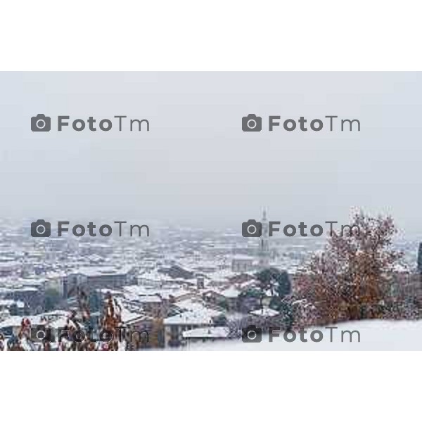 Cronaca, Bergamo - 21/11/25 - Neve in Città