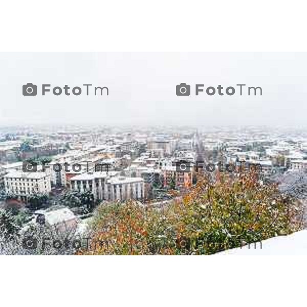 Cronaca, Bergamo - 21/11/25 - Neve in Città