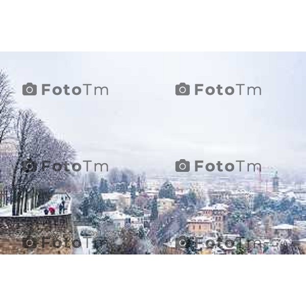 Cronaca, Bergamo - 21/11/25 - Neve in Città