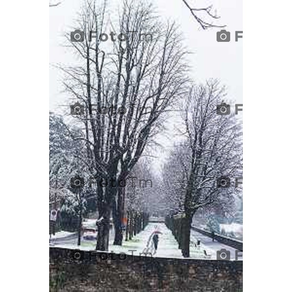 Cronaca, Bergamo - 21/11/25 - Neve in Città