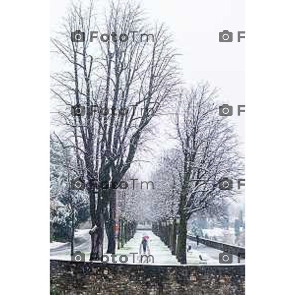 Cronaca, Bergamo - 21/11/25 - Neve in Città