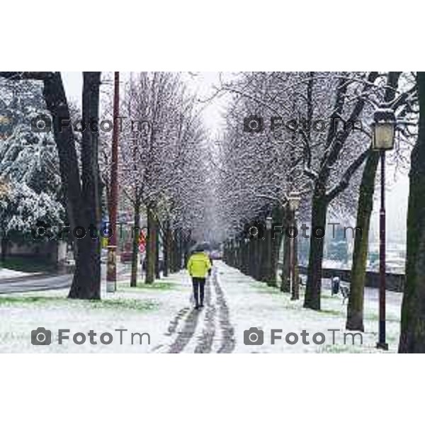 Cronaca, Bergamo - 21/11/25 - Neve in Città