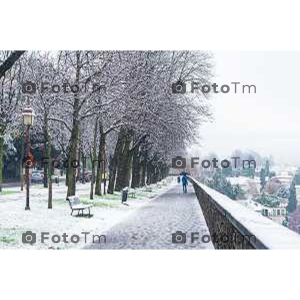 Cronaca, Bergamo - 21/11/25 - Neve in Città