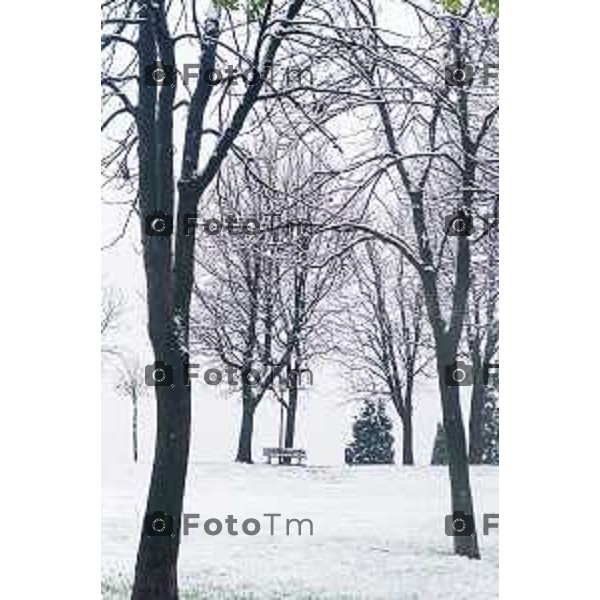 Cronaca, Bergamo - 21/11/25 - Neve in Città