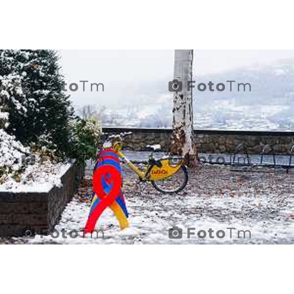 Cronaca, Bergamo - 21/11/25 - Neve in Città