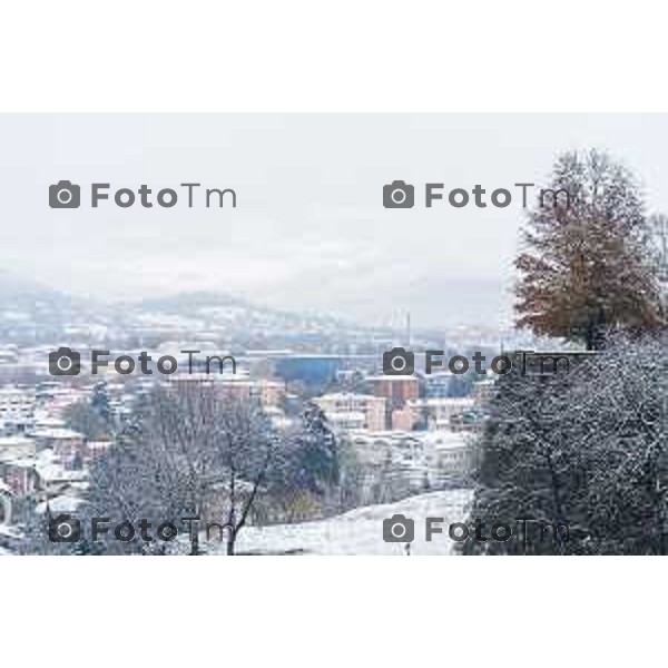 Cronaca, Bergamo - 21/11/25 - Neve in Città