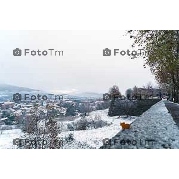 Cronaca, Bergamo - 21/11/25 - Neve in Città