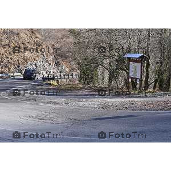 Taleggio bg il cadavere di un egiziano rinvenuto in un bosco con segni di violenza 