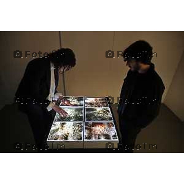 Tiziano Manzoni/LaPresse 12-02- 2026 Italia Cronaca Bergamo Bergamo inaugurazione della mostra Interscape L\'anteprima stampa GAMeC nelle foto le opere esposte