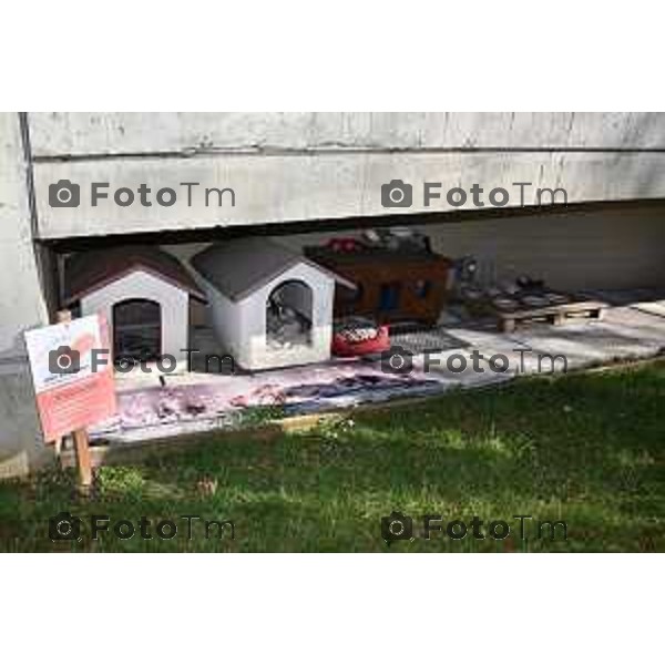 Protesta davanti al municipio contro inceneritore 18 Febbraio 202 Italia Bergamo scuola primaria Rodari presenta la prima colonia felina scolastica riconosciuta dal Comune di Bergamo. foto Tiziano Manzoni Lapresse