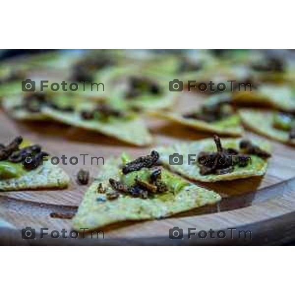 Bergamo, 13 marzo 2026 - Incontro Aperitivo "entomologico" @StartUp Cafè con stuzzichini a base di insetti: camole, grilli e cavallette insieme a Dott. Marco Valle (direttore del Museo Civico di Scienze Naturali di Bergamo) , prof. Claudio Vegini (già docente di scienze) e Simone Paganoni