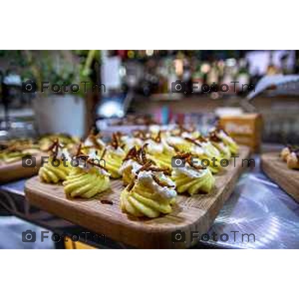 Bergamo, 13 marzo 2026 - Incontro Aperitivo "entomologico" @StartUp Cafè con stuzzichini a base di insetti: camole, grilli e cavallette insieme a Dott. Marco Valle (direttore del Museo Civico di Scienze Naturali di Bergamo) , prof. Claudio Vegini (già docente di scienze) e Simone Paganoni