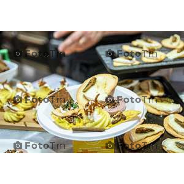 Bergamo, 13 marzo 2026 - Incontro Aperitivo "entomologico" @StartUp Cafè con stuzzichini a base di insetti: camole, grilli e cavallette insieme a Dott. Marco Valle (direttore del Museo Civico di Scienze Naturali di Bergamo) , prof. Claudio Vegini (già docente di scienze) e Simone Paganoni