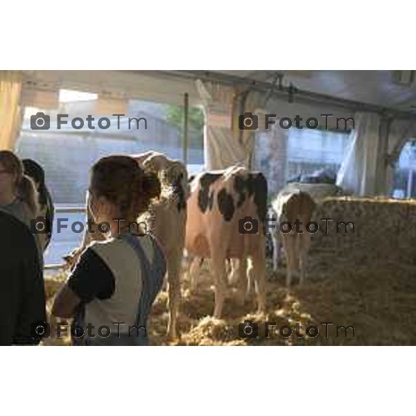 Treviglio inaugurazione della 43esima Fiera Agricola Attilio Fontana, sostenibilità del settore agricolo.30 aprile 2026 Italia foto Tiziano Manzoni Lapresse