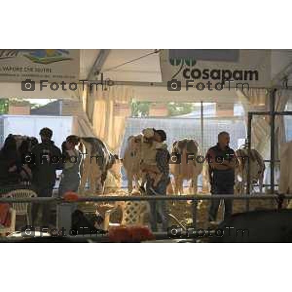 Treviglio inaugurazione della 43esima Fiera Agricola Attilio Fontana, sostenibilità del settore agricolo.30 aprile 2026 Italia foto Tiziano Manzoni Lapresse