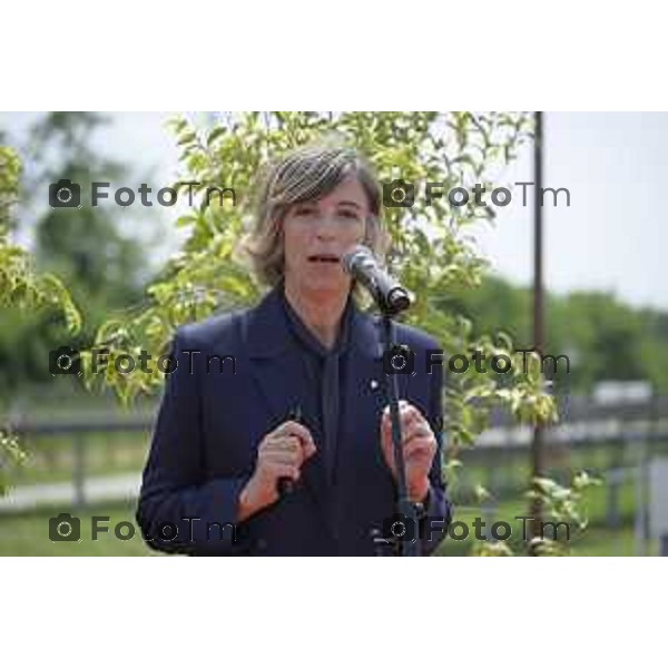 Chignolo D\'isola Bergamo Italgen parco fotovoltaico piu grande della lombardia 20 maggio 2026 cronaca Bergamo Italia Giovanna Ricuperati Foto Tiziano Manzoni Lapresse