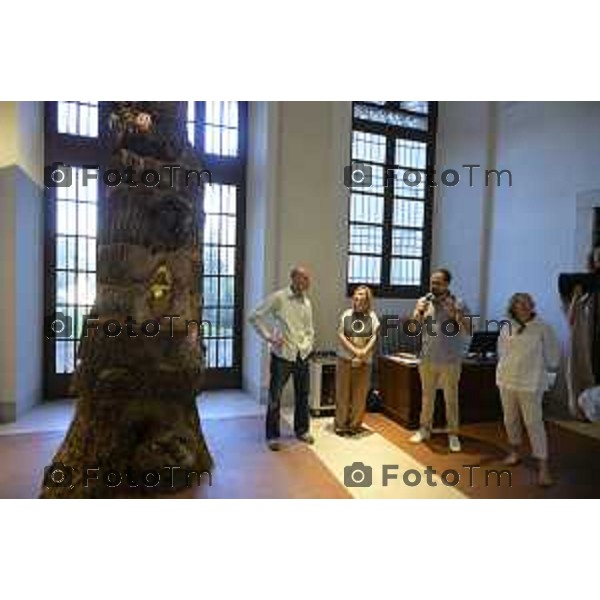 Bergamo mostra Ferrario Freres La corteccia dell\'Albero 11 giugno 2026 cronaca Bergamo Italia Foto Tiziano Manzoni Lapresse