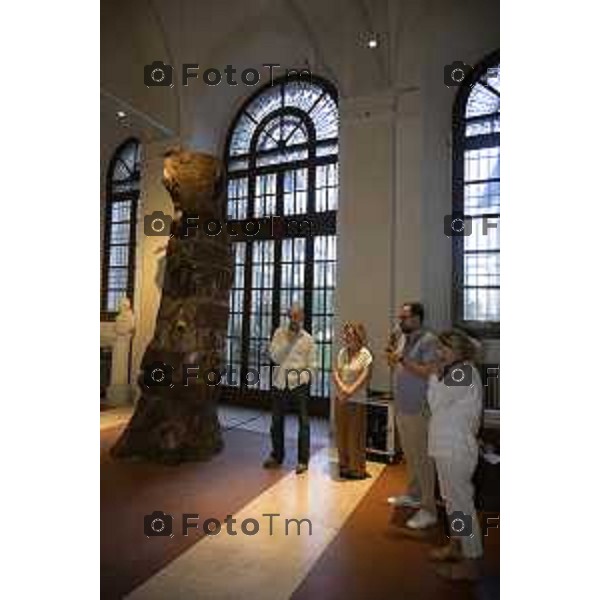 Bergamo mostra Ferrario Freres La corteccia dell\'Albero 11 giugno 2026 cronaca Bergamo Italia Foto Tiziano Manzoni Lapresse