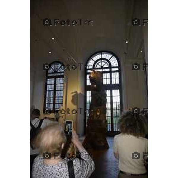 Bergamo mostra Ferrario Freres La corteccia dell\'Albero 11 giugno 2026 cronaca Bergamo Italia Foto Tiziano Manzoni Lapresse