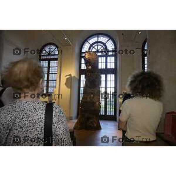 Bergamo mostra Ferrario Freres La corteccia dell\'Albero 11 giugno 2026 cronaca Bergamo Italia Foto Tiziano Manzoni Lapresse