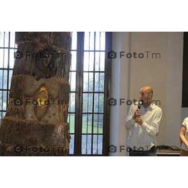 Bergamo mostra Ferrario Freres La corteccia dell\'Albero 11 giugno 2026 cronaca Bergamo Italia Foto Tiziano Manzoni Lapresse