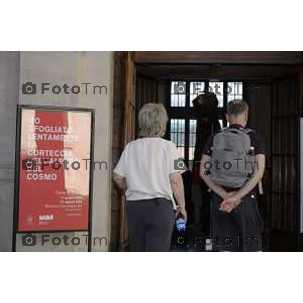 Bergamo mostra Ferrario Freres La corteccia dell\'Albero 11 giugno 2026 cronaca Bergamo Italia Foto Tiziano Manzoni Lapresse