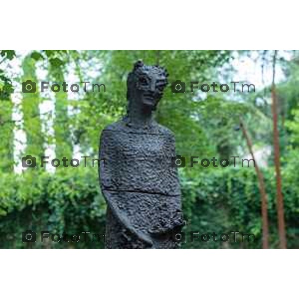 Bergamo, 25 giugno 2026 - inaugurazione CHIARA CAMONI, LA FORZA la nuova scultura permanente di Chiara Camoni che entra nel patrimonio del Museo con il contributo di PwC.intervengono: Elena Carnevali, presidente Fondazione Accademia Carrara e sindaca di Bergamo Sergio Gandi, assessore alla Cultura Comune di Bergamo Maria Luisa Pacelli, direttrice Fondazione Accademia Carrara e co-curatrice Angelo Loda, responsabile Area Patrimonio Storico Artistico Soprintendenza Archeologia belle Arti e Paesaggio per le Provincie di Bergamo e Brescia Chiara Carotenuto, Communication, Engagement & Branding PwC Italy - Partner Chiara Camoni, artista Elena Volpato, co-curatrice