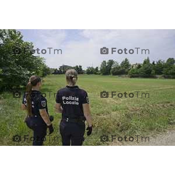 Bergamo Cividate al Piano. Controlli della polizia locale al boschetto della droga 30 giugno 2026 cronaca Bergamo Italia Foto Tiziano Manzoni Lapresse