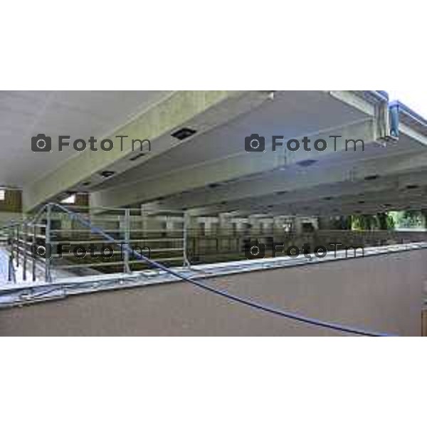 Bergamo cantiere piscine italcementi 23 luglio 2026 cronaca Bergamo Italia Foto Tiziano Manzoni Lapresse