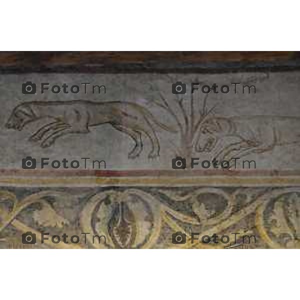 Bergamo presentazione fine restauri Aula Picta del Museo diocesano Bernareggi, restituita alla città dopo il restauro degli affreschi medievali 17 settembre 2026 cronaca Bergamo Italia Foto Tiziano Manzoni Lapresse