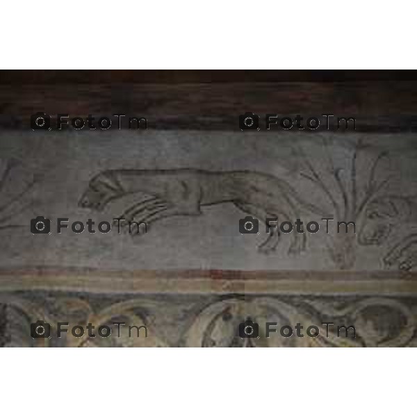 Bergamo presentazione fine restauri Aula Picta del Museo diocesano Bernareggi, restituita alla città dopo il restauro degli affreschi medievali 17 settembre 2026 cronaca Bergamo Italia Foto Tiziano Manzoni Lapresse