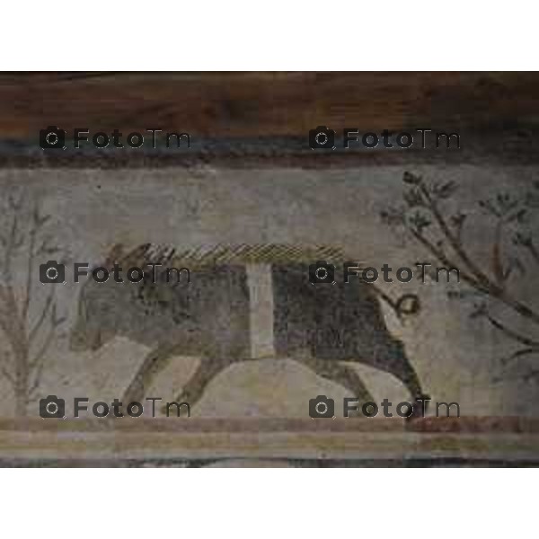 Bergamo presentazione fine restauri Aula Picta del Museo diocesano Bernareggi, restituita alla città dopo il restauro degli affreschi medievali 17 settembre 2026 cronaca Bergamo Italia Foto Tiziano Manzoni Lapresse