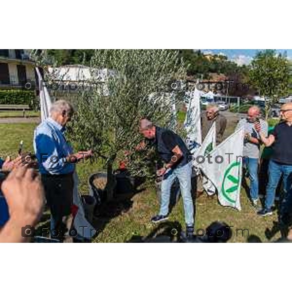 Pontida intervento di Salvini al raduno dei giovani Leghisti Sabato 19 Settembre 2026