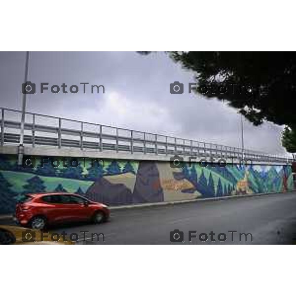 Bergamo Rondò delle Valli a Murale imbrattato dopo pochi giorni 08- ottobre 2026 cronaca Bergamo Italia Foto Tiziano Manzoni Lapresse