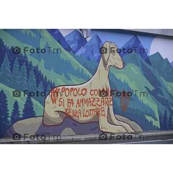 Bergamo Rondò delle Valli a Murale imbrattato dopo pochi giorni 08- ottobre 2026 cronaca Bergamo Italia Foto Tiziano Manzoni Lapresse