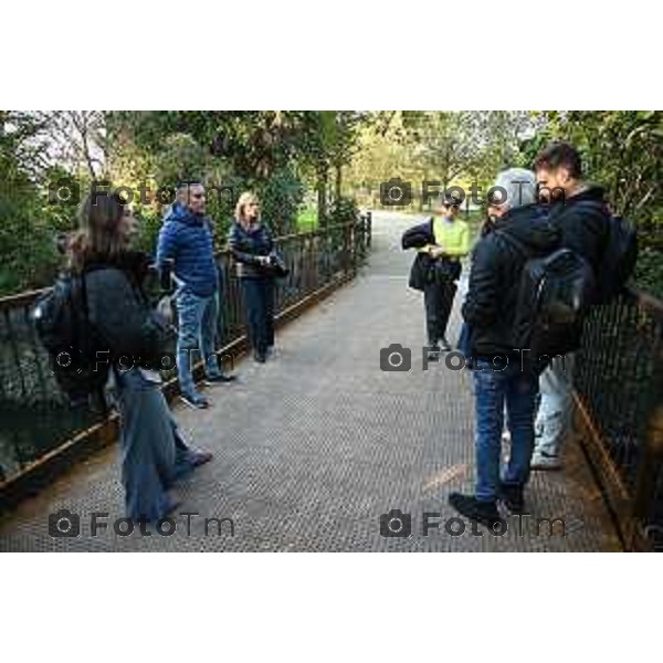 Bergamo interventi parco della trucca lavori 29 ottobre 2026 cronaca Bergamo Italia Foto Tiziano Manzoni Lapresse