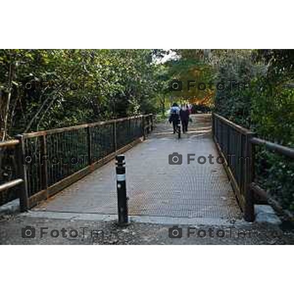 Bergamo interventi parco della trucca lavori 29 ottobre 2026 cronaca Bergamo Italia Foto Tiziano Manzoni Lapresse