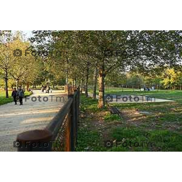 Bergamo interventi parco della trucca lavori 29 ottobre 2026 cronaca Bergamo Italia Foto Tiziano Manzoni Lapresse